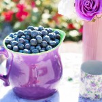 blueberries-864628_1280
